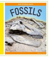 Cover image of Fossils