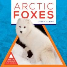 Cover image of Arctic foxes