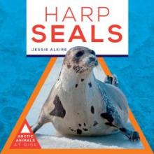 Cover image of Harp seals