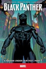 Cover image of Black Panther