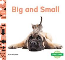 Cover image of Big and small