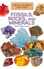 Cover image of Fossils, rocks, and minerals