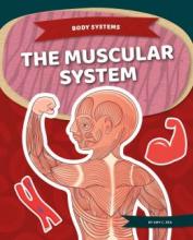 Cover image of The muscular system