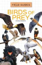 Cover image of Birds of prey