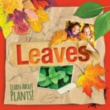 Cover image of Leaves