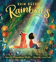 Cover image of Rain before rainbows