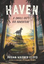 Cover image of Haven