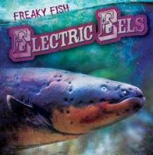 Cover image of Electric eels