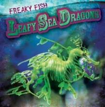 Cover image of Leafy sea dragon