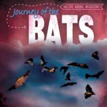 Cover image of Journey of the bats