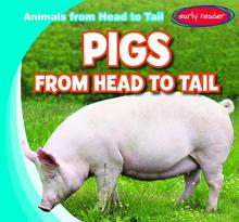 Cover image of Pigs from head to tail