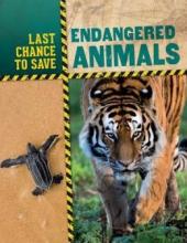 Cover image of Endangered animals