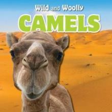 Cover image of Camels