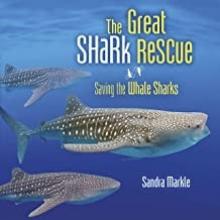 Cover image of The great shark rescue