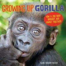 Cover image of Growing up gorilla