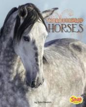 Cover image of Thoroughbred horses