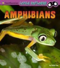 Cover image of Amphibians