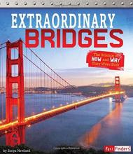 Cover image of Extraordinary bridges