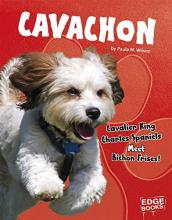 Cover image of Cavachon