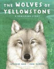 Cover image of The wolves of Yellowstone