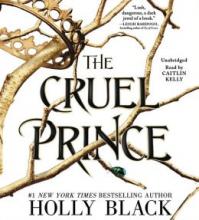 Cover image of The cruel prince