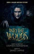 Cover image of Into the woods