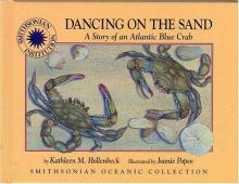 Cover image of Dancing on the sand