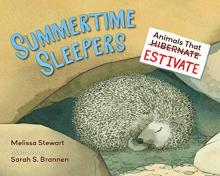 Cover image of Summertime sleepers