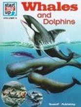 Cover image of Whales and dolphins