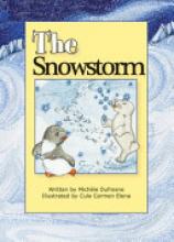 Cover image of The snowstorm