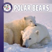 Cover image of Polar Bears