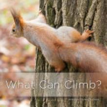 Cover image of What can climb?