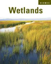 Cover image of Wetlands