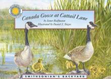 Cover image of Canada Goose at Cattail Lane