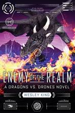 Cover image of Enemy of the realm