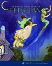 Cover image of The Peter Pan picture book