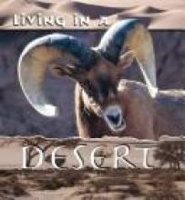 Cover image of Living in a desert