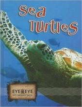 Cover image of Sea turtles