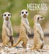 Cover image of Meerkats