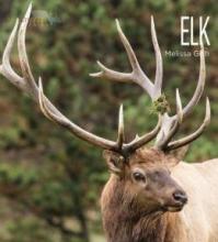 Cover image of Elk