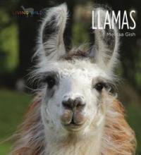 Cover image of Llamas