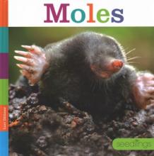 Cover image of Moles