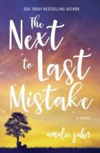 Cover image of The Next to last mistake