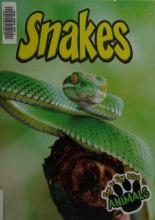 Cover image of Snakes