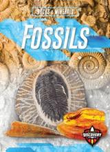 Cover image of Fossils