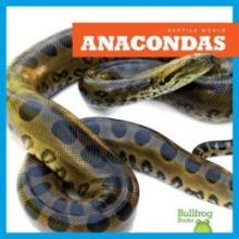 Cover image of Anacondas