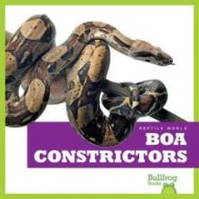 Cover image of Boa constrictors