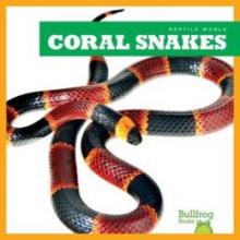 Cover image of Coral snakes