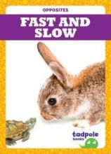 Cover image of Fast and slow