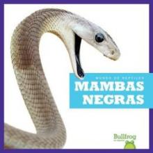 Cover image of Mambas negras